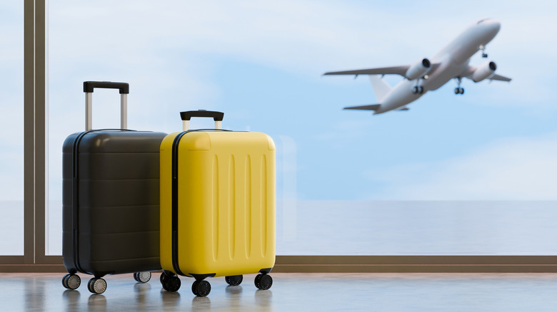Suitcases in an airport as a plane takes off.