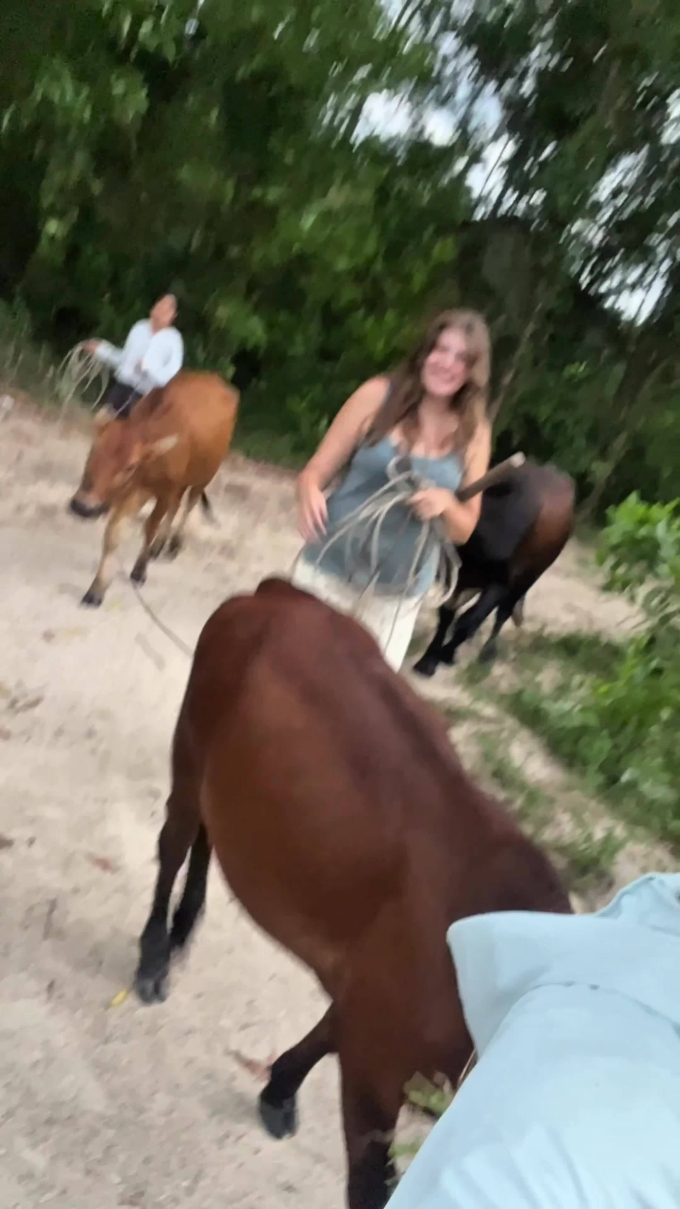 Western tourists go to herd cows and teach to change their place of residence