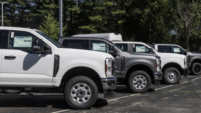 Side view of Ford Super Duty pickup trucks lined up on a dealer lot.