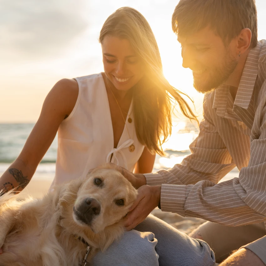 happy woman playing with her dog makes an excellent life partner to her boyfriend