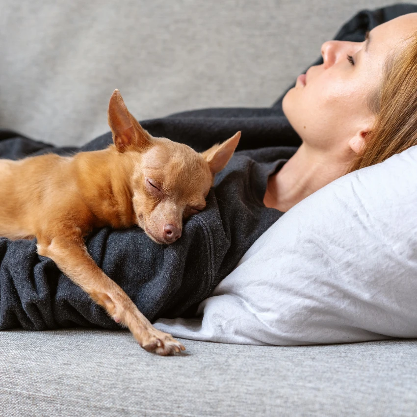 woman napping with her dog sign of love