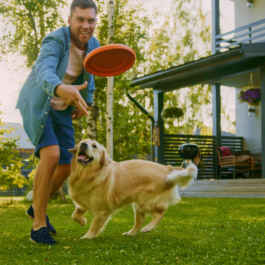 man giving his dog undivided attention lets her know he loves her