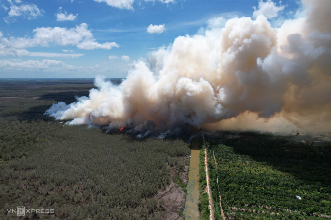 Tram Chim National Park suffered a major fire in 2024, burning down large areas of fruit trees and melaleuca forest. Photo by Read/Ngoc Tai
