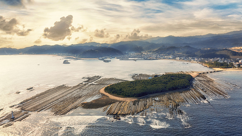 An aerial shot of Aoshima, Japan, surrounded by sea.