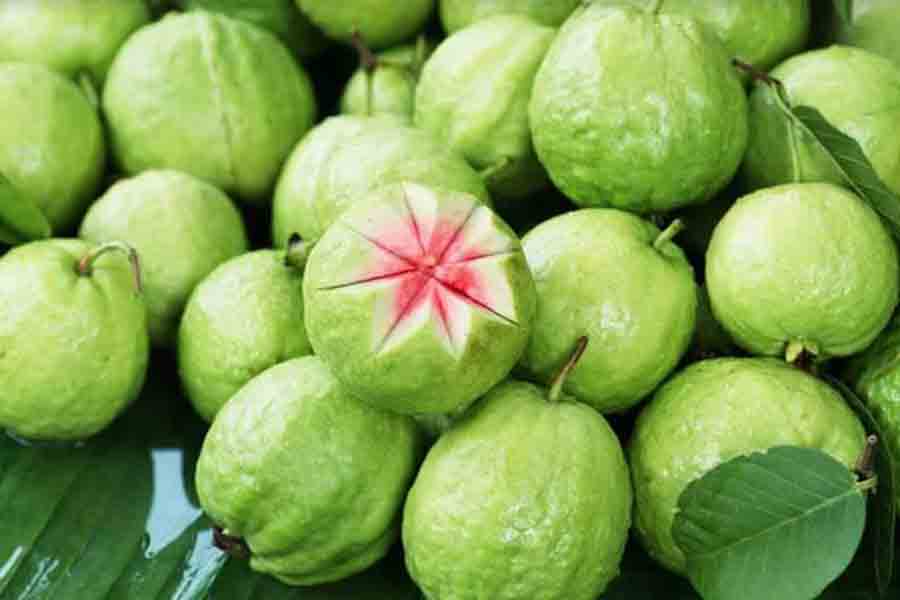 Health Benefits: Which diseases are cured by regularly eating guava on an empty stomach