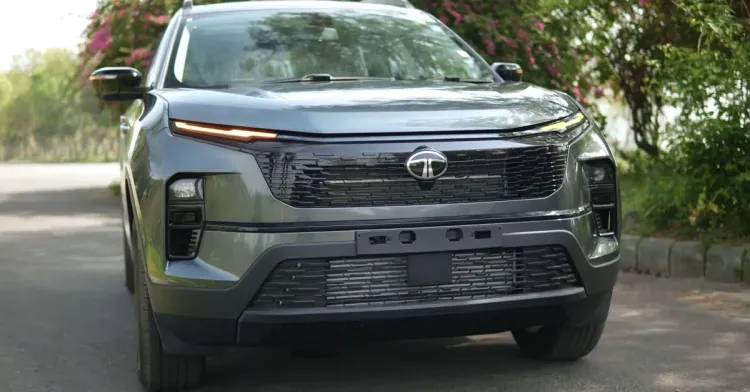 safari-base-petrol-front