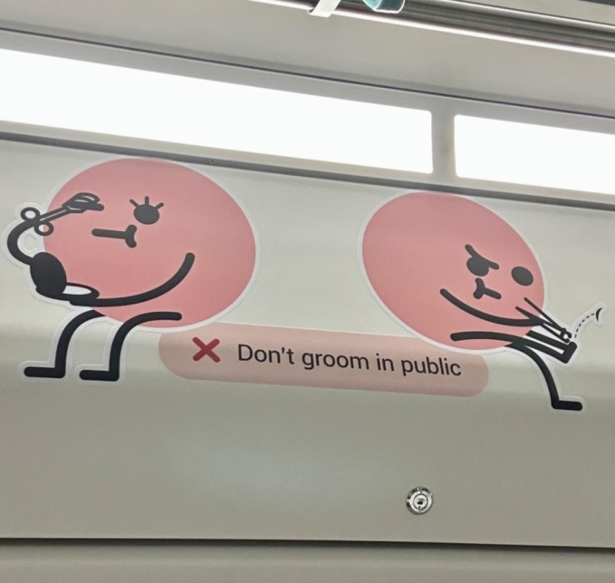 The poster discouraging public grooming on an MRT train in Singapore. Photo from Reddit