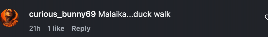 Malaika Arora purposely sticks out her butt in shimmery metallic backless outfit; fans call it disturbing