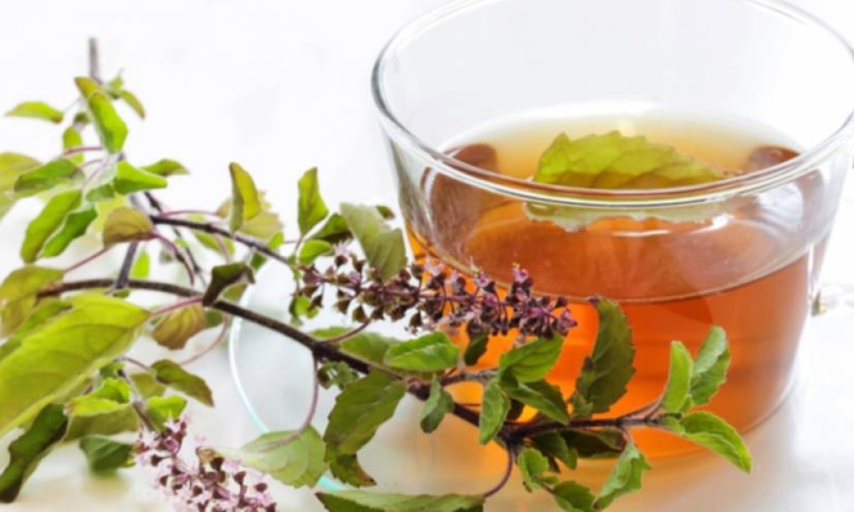 Tulsi Water For Health
