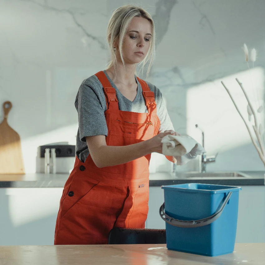 professional house cleaner