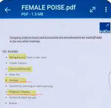 Indigo dress code mannual. Photo: X