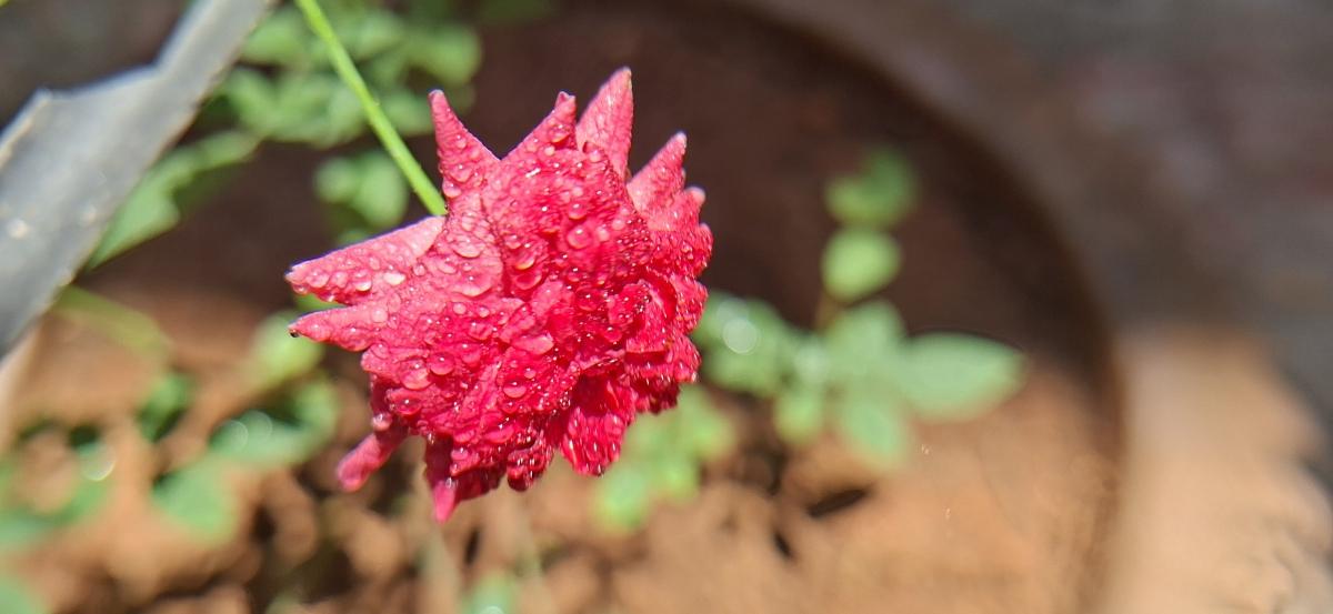 Samsung Galaxy A57 5g