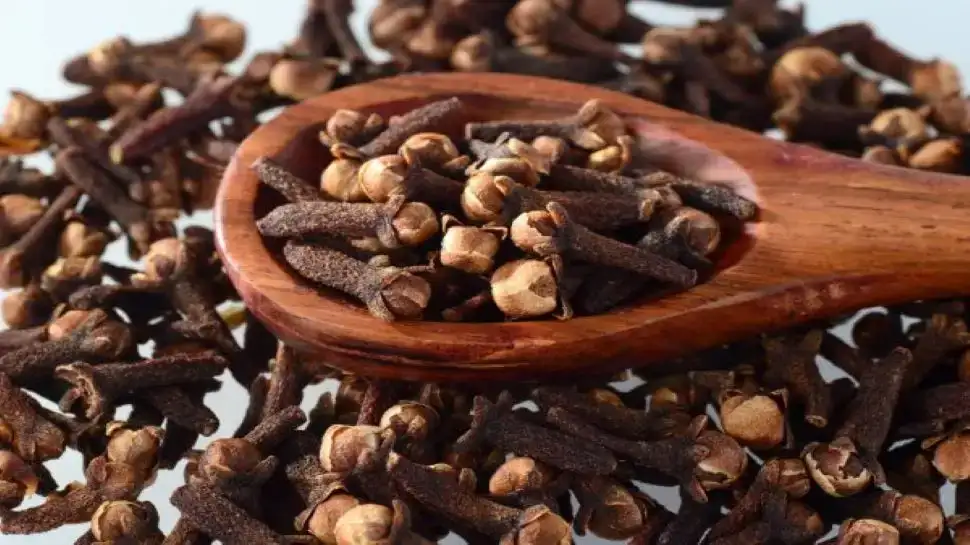 Amazing benefits of cloves: Relief from toothache and cold.