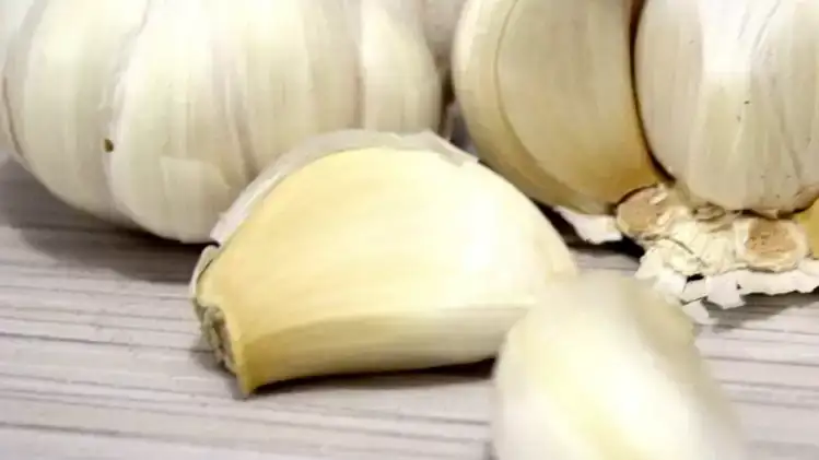 Garlic and Honey: Amazing Health Benefits