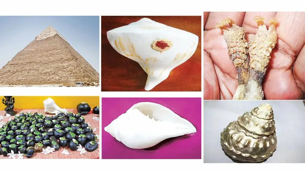 Things that bring happiness and prosperity