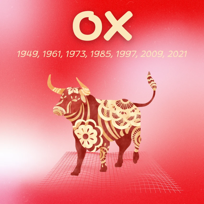 ox chinese zodiac signs luck prosperity may 2 2026