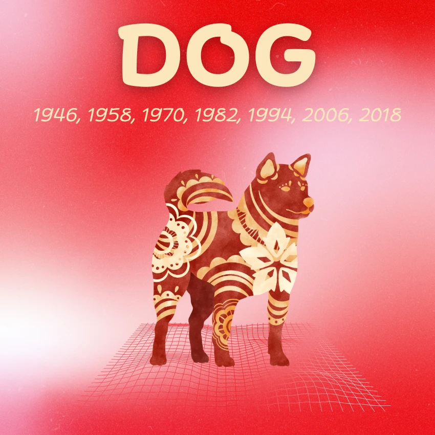 dog chinese zodiac signs luck good fortune may 4 2026