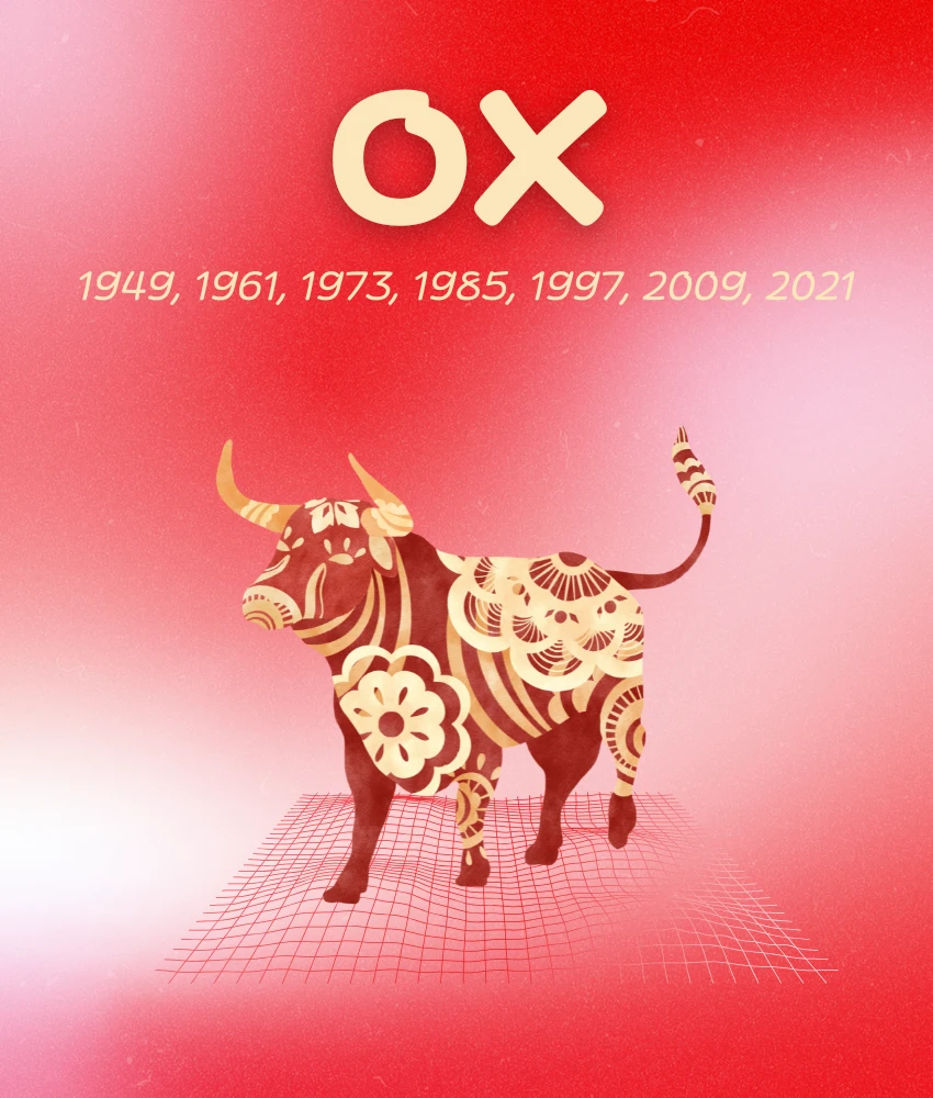 ox everything falls place chinese zodiac signs may 4, 2026