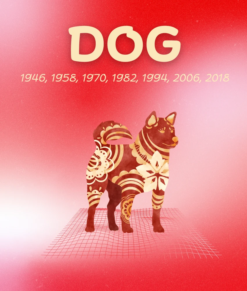 dog chinese zodiac signs everything falls place may 11 - 17, 2026