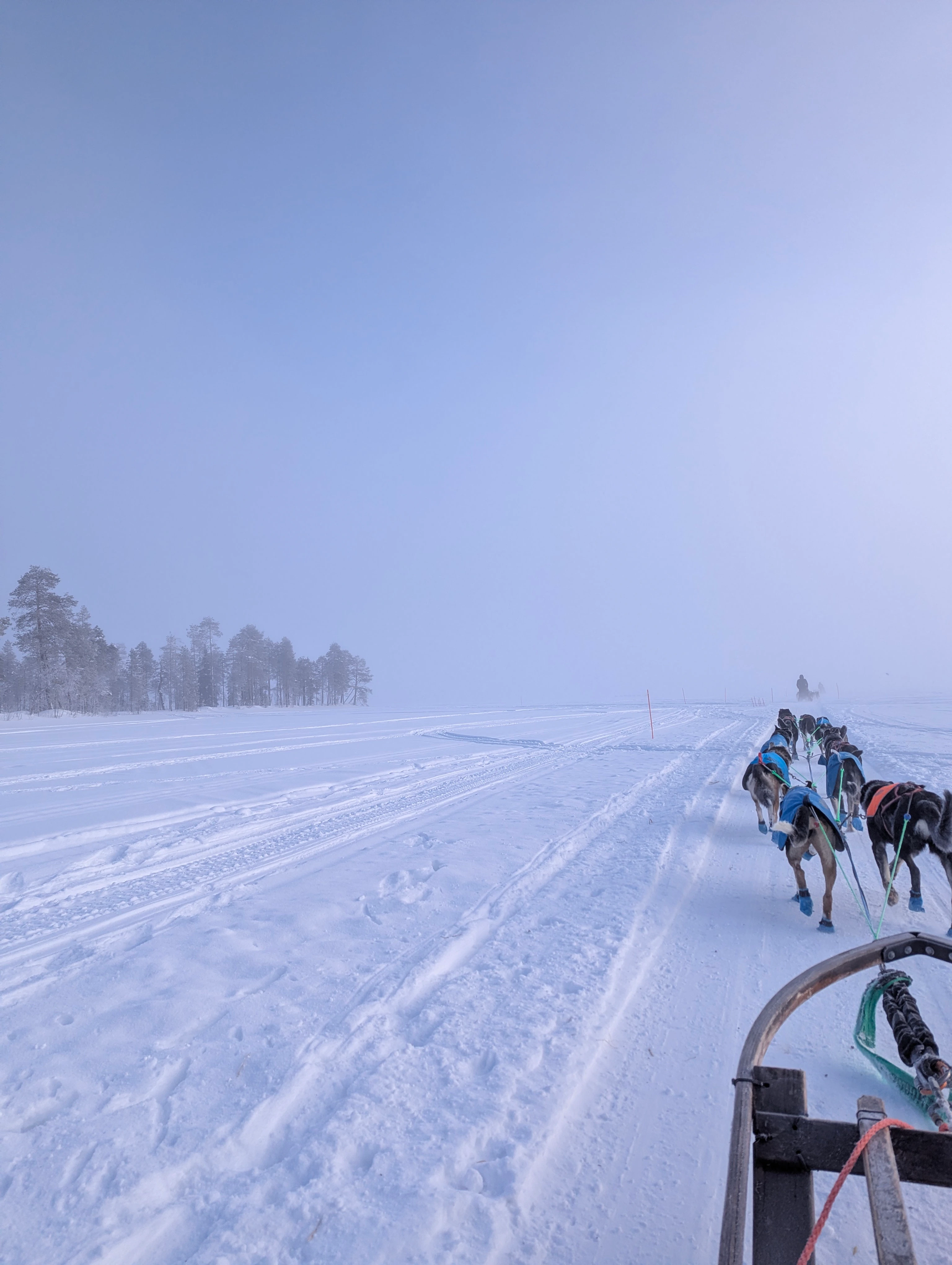 On a husky sledge. Photo: Author On a husky sledge. Photo: Author