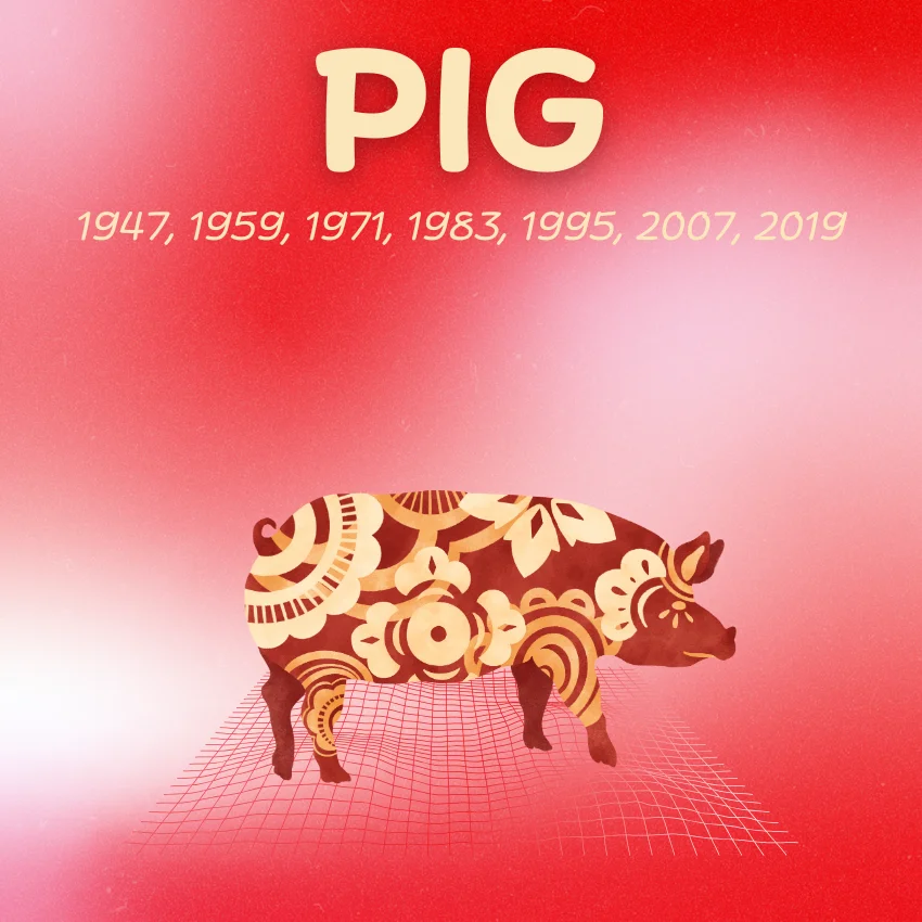 pig chinese zodiac signs luck success may 18 2026