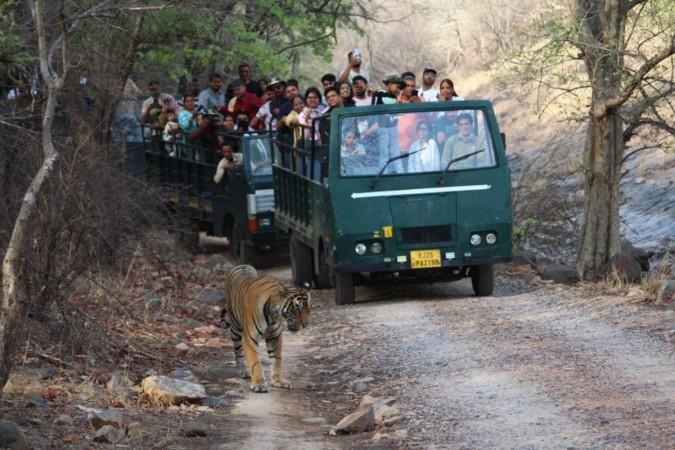 Wildlife tourism