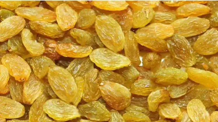 Health benefits of raisins: Know how it is beneficial for you