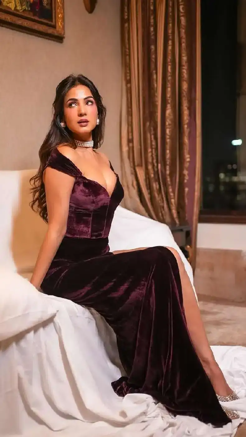 Sonal Chauhan's new pictures created a stir on the internet