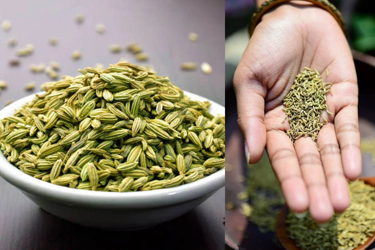 eating fennel seeds after every heavy meal aids digestion