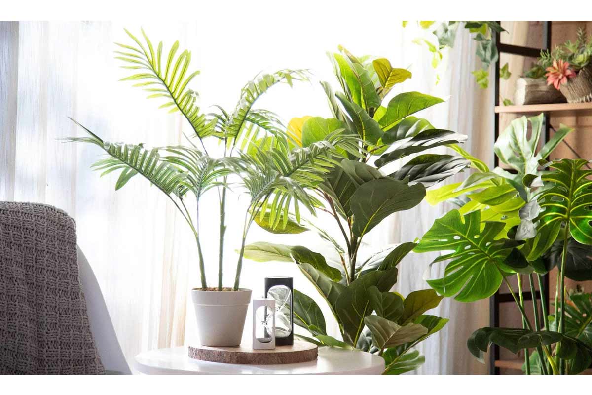 Vastu Tips for Home Decoration