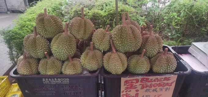 Black Thorn durians on sale at a store in Singapore. Photo from Facebook/Hojiak Durian & Fruits - Jurong East
