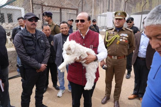 Lieutenant Governor of Ladakh Vinai Kumar Saxena is carrying a Pashmina goat in his hands Pashmina goats