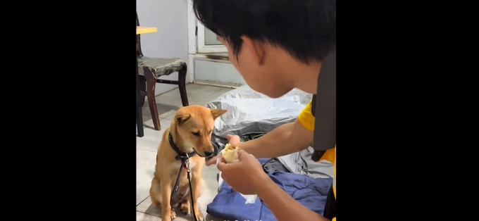 Tang Wei feeds his dog, Bobo, after receiving help from locals in Changsha City in this still image captured from a Douyin video.