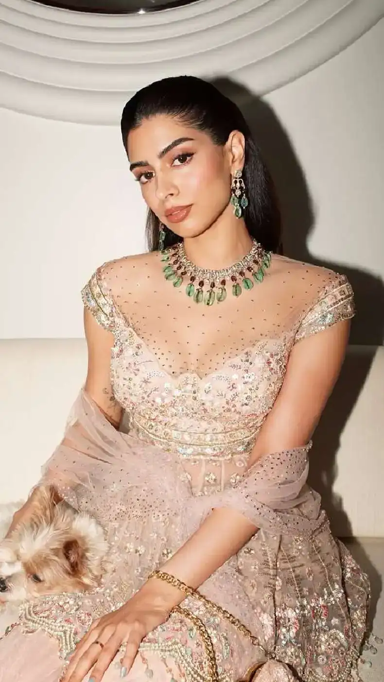 Fashion sparkle in Anshula Kapoor's pre-wedding ceremony