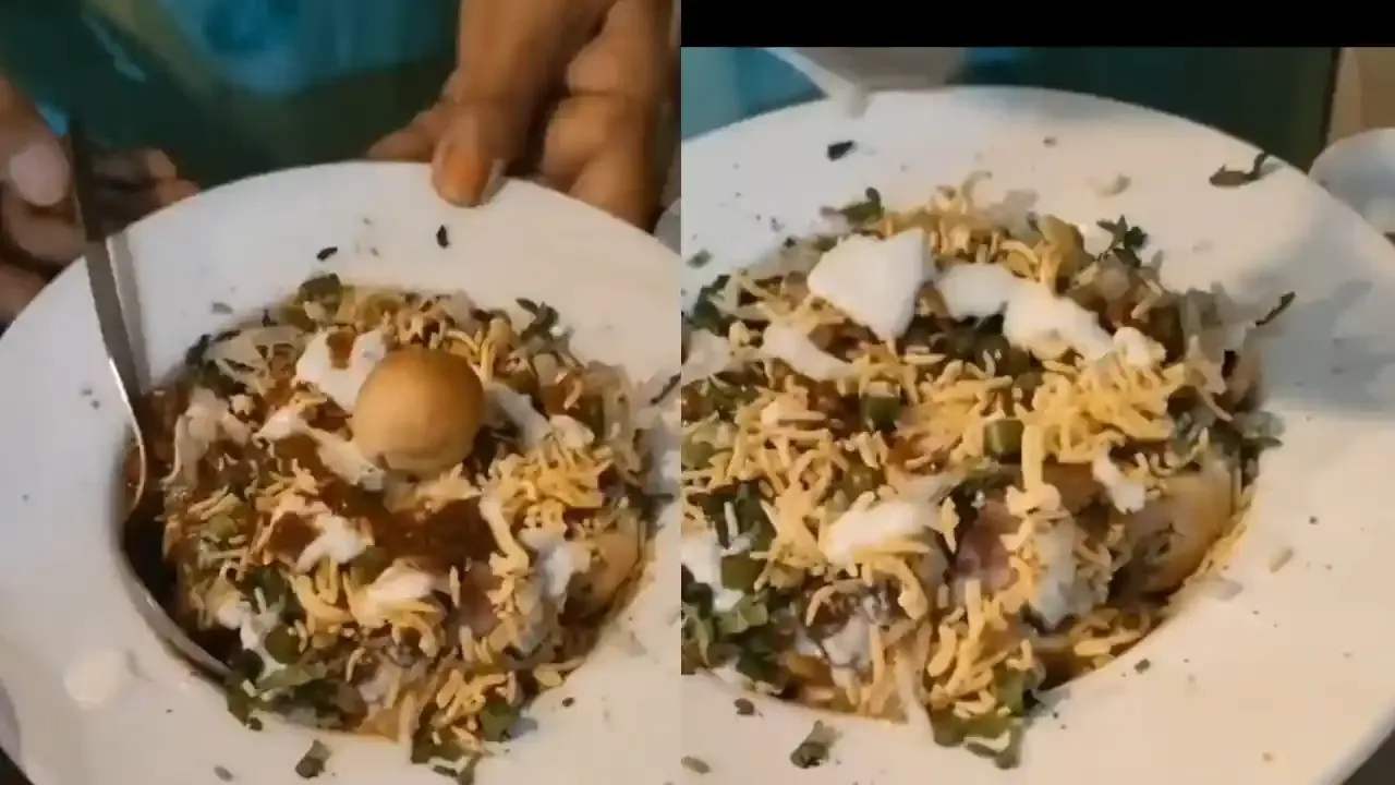 A hand serving delicious litti chaat topped with yogurt, tangy chutneys, crunchy sev, and fresh green herbs.
