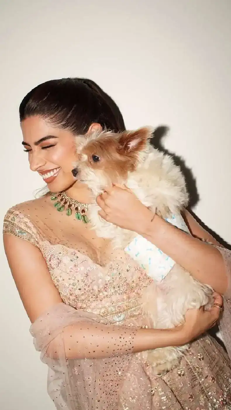 Fashion sparkle in Anshula Kapoor's pre-wedding ceremony