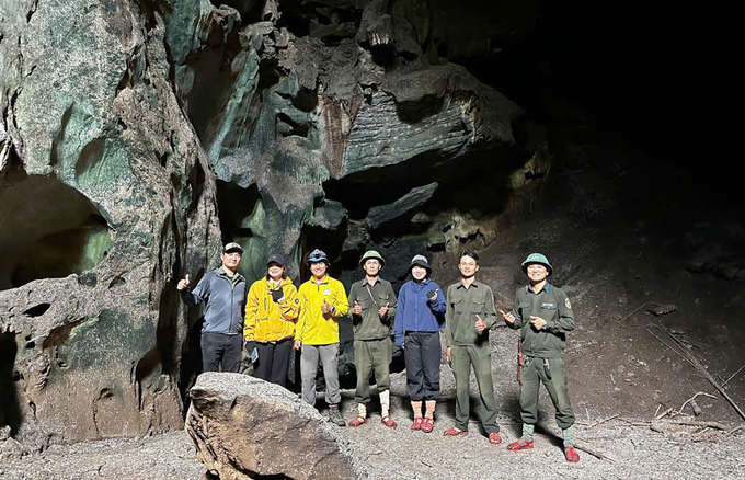 Forest protection forces discovered the cave. Photo: Southern Quang Tri Special Use Forest Management Board