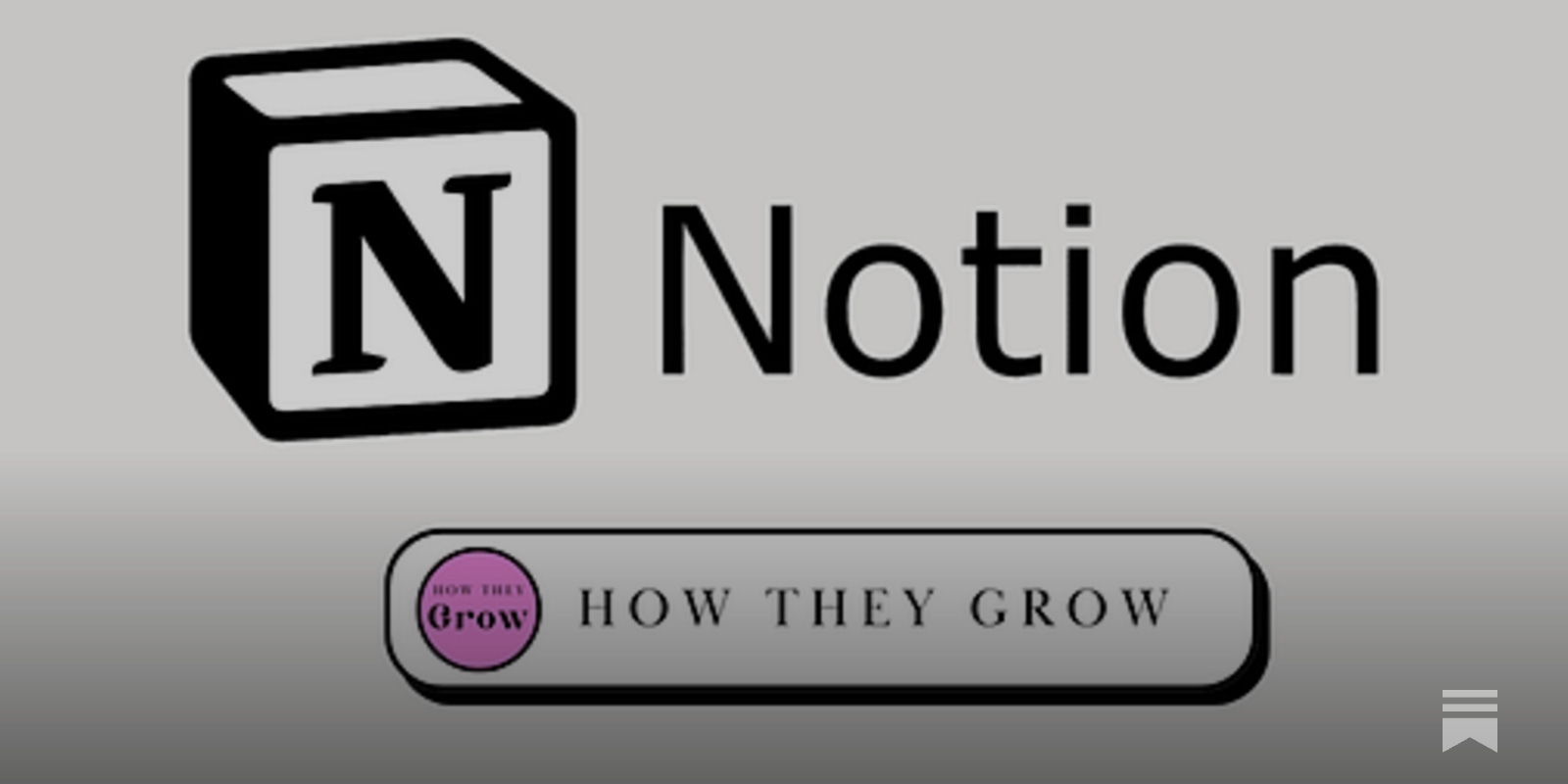 How Notion Grows - by Jaryd Hermann - How They Grow