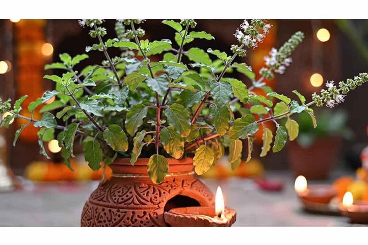Home Vastu tips: Discover 5 clay items believed to attract Goddess Lakshmi