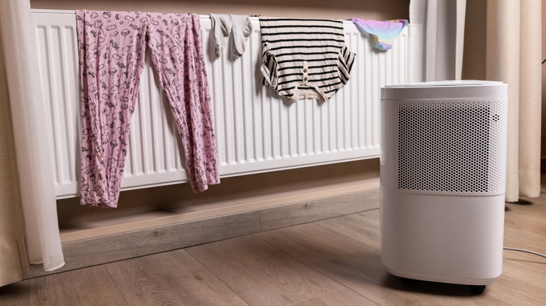 Clothes drying on radiator while dehumidifier runs