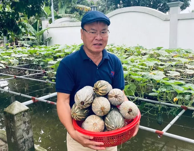 Pham Phu Phuc grows vegetables and raises fish since returning to his hometown in Thai Binh after retirement. Photo: Provided by the subject