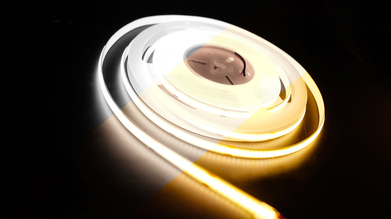 A shot of LED COB roll 12V strip light