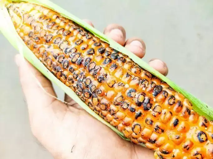 Health Benefits of Roasted Corn: Know how it is beneficial for you