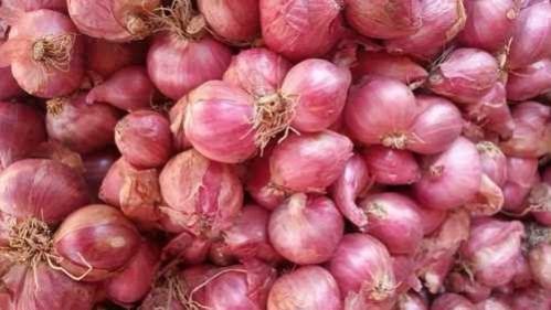 Onion Prices Jump in Chennai as heavy rains in Maharashtra Disrupt Supply Onion Prices Jump in Chennai as heavy rains in Maharashtra Disrupt Supply