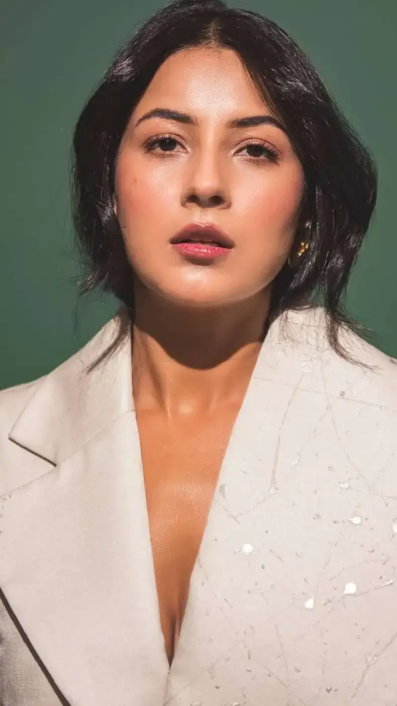 Shehnaaz Gill's new pictures increase dating rumors