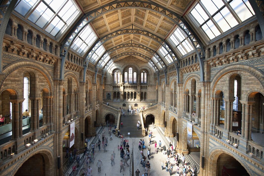Natural History Museum Natural History Museum