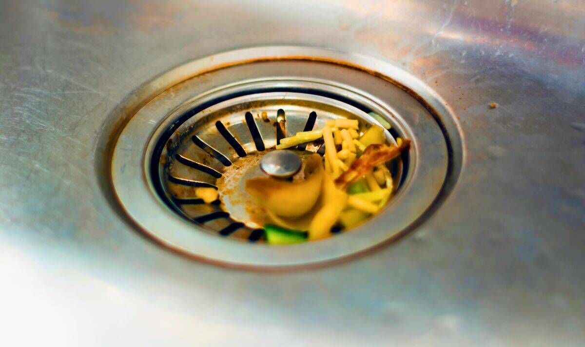 Picture a sink plughole filled with food Picture a sink plughole filled with food