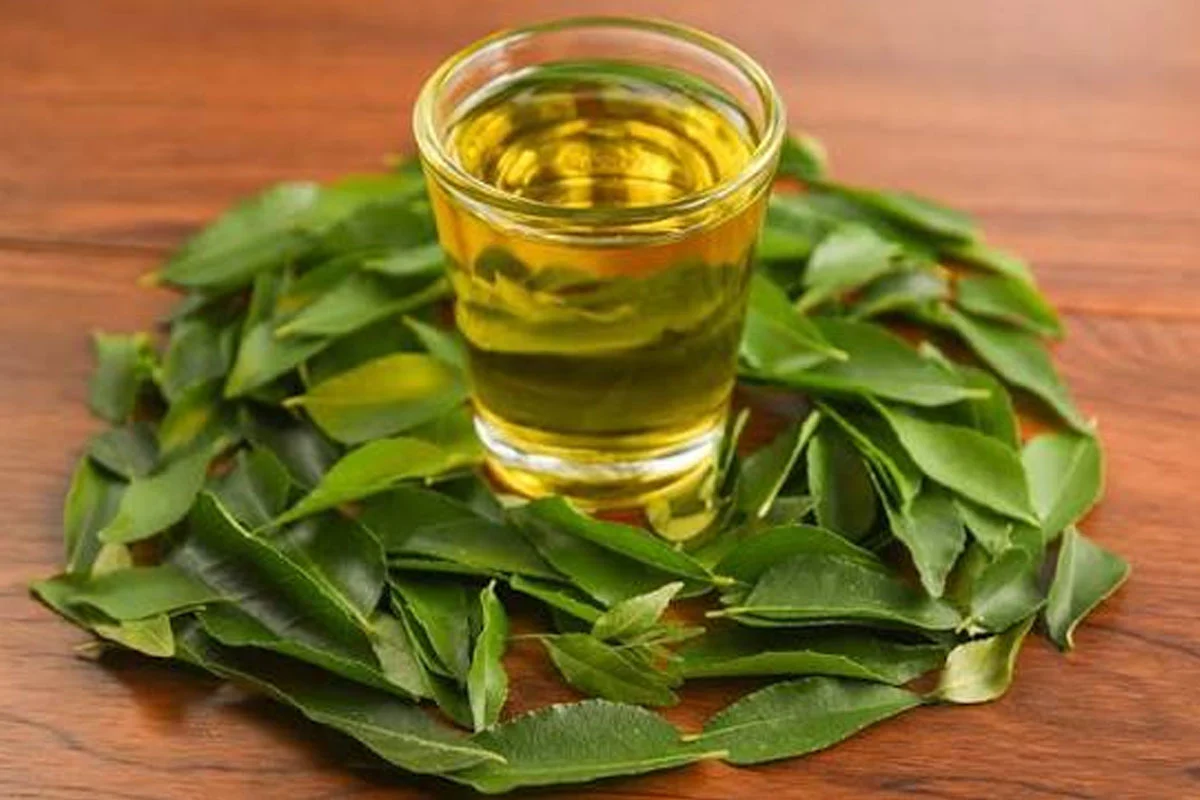 Curry Leaves for Hair Growth: 5 Best Oils for Stronger Hair