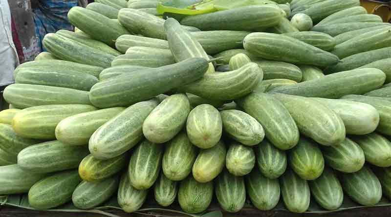 A fresh cucumber smells mildly sweet; An unpleasant smell may indicate a bitter cucumber