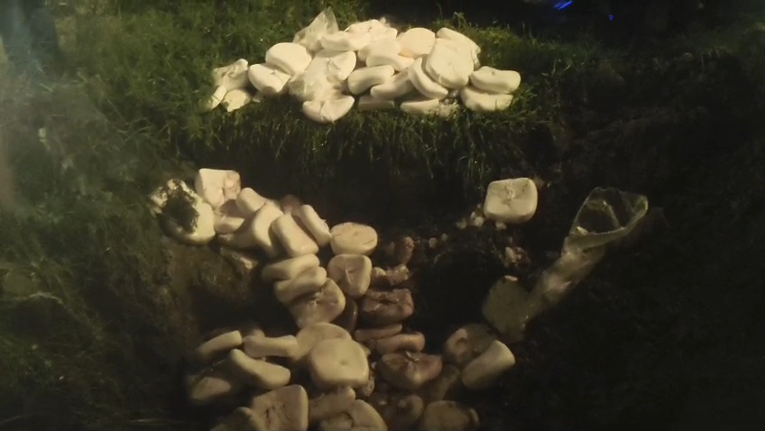 Paneer Seasoned